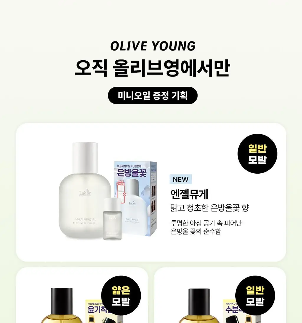 [단독기획/미니증정] 아도르 퍼퓸 헤어 오일 80ml 기획 5종 택1 상세페이지 6